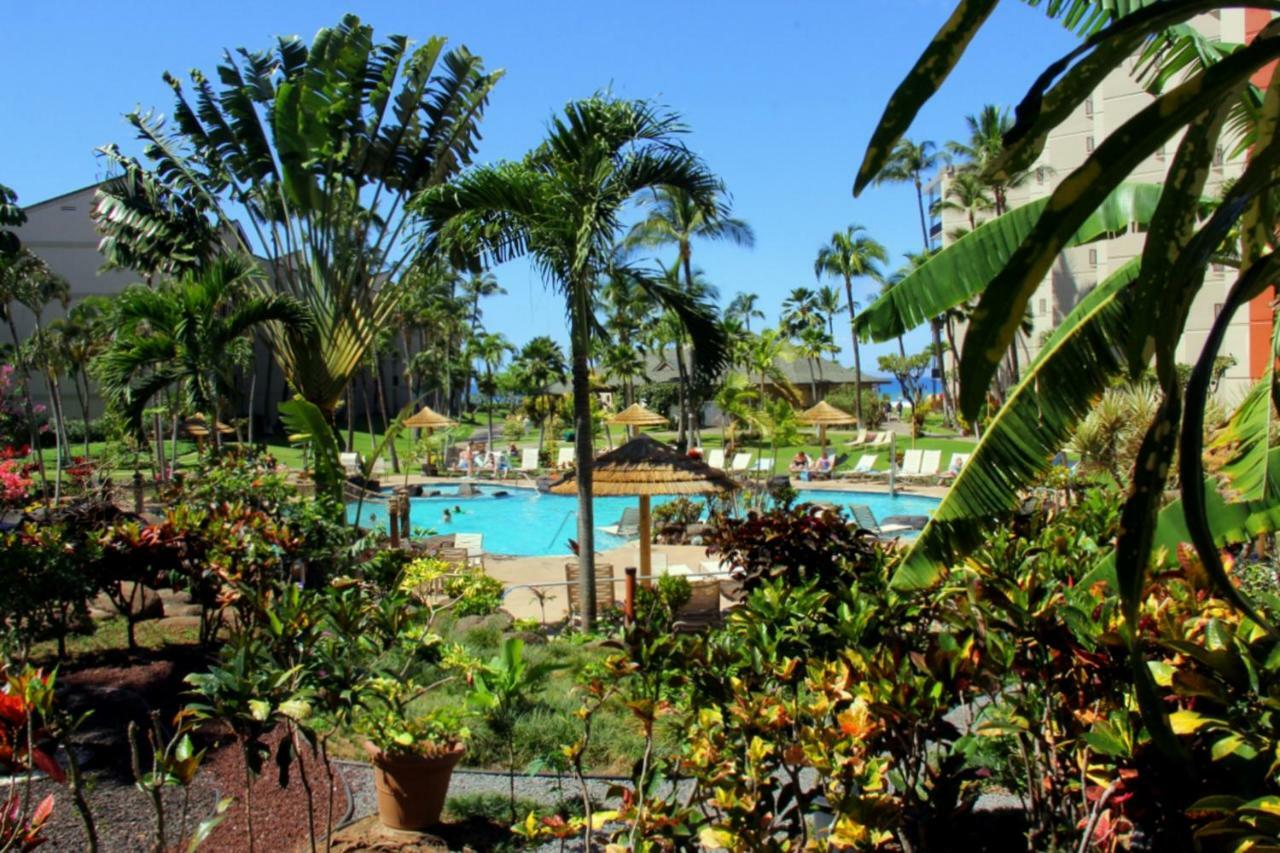 Kaanapali Shores 647 Villa Eksteriør bilde